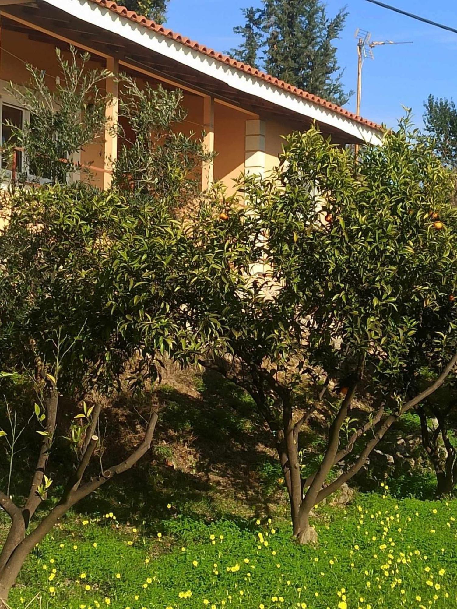 פראמה Takis & Eirini Family Apartments מראה חיצוני תמונה